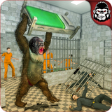 com.enigmagamingstudio.madgorillaprisonescapejailbreakout