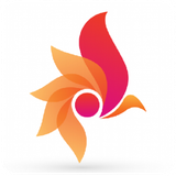 app.hamasebidari.ir