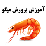com.magicsoftwaregroup.shrimpfarming