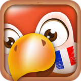 com.bravolang.french
