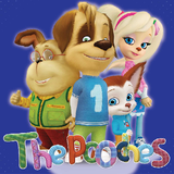 com.ir.ppooches