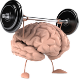 brain.mohsen.az