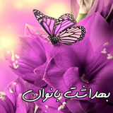 hooshmand.behdasht