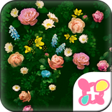 jp.co.a_tm.android.plus_full_bloom_rose
