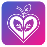 com.shetabit.project.fitsmart