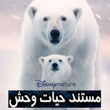 co.ad.hayatvahsh
