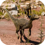 com.aio.spinosaurus