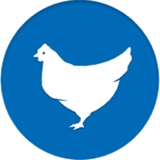 com.poultry.disease