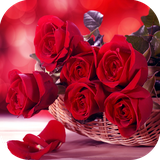 com.kikidi.rosewallpapershd