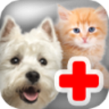 com.sysasoft.petvetdoctor