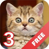 com.he4aeb.catspeac3