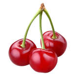 com.faramarzi.englishlearningfruit