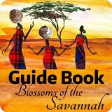 yn.guide.to.blossoms.books