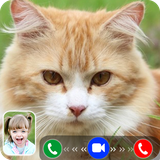 fakevideocall.catfakevideocall.fakecallcatgame.fakevideocallcat
