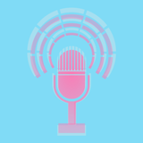 com.gmail.sasha.inverse.transvoicestudio