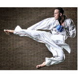 ir.book.karate