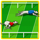com.l2translations.androidgames.dograce