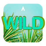 co.madseven.launcher.theme.wild
