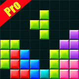 com.newprotopglobal.tetris