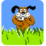 ir.blog.arvant.duckhunter