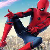 anim.spidermans.raj