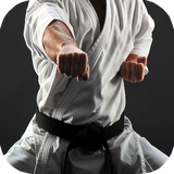 ir.tinasoft.karate_at_home