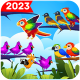 ubirds.colorsortbirds.sortpuzbird.colorsorts