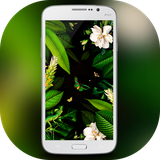 aa.galaxy.s8.s7.j7.j3.j9.c5.c7note.plus.edge.theme.launcher