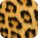 com.andromo.dev230101.app306153
