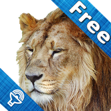 com.kidzoo.ws