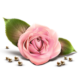 asheghanha01.ir.kr.si.ma.usn