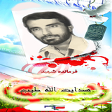 shahidtayeb.kb