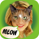 com.fueneco.look.like.cat