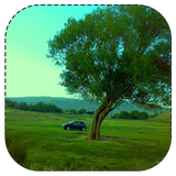 jazebe.haye.damghan.vagarmsar