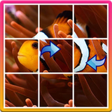 com.sdmcsoftware.magicswappuzzle