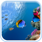 com.OceanFishLiveWallpaperHQ