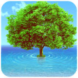 com.hd.treewallapaper.images.wallpapers