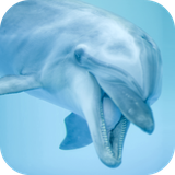 com.andromo.dev230101.app216861