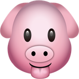 hungriPig.android.xdk