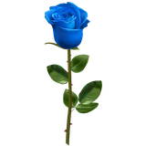 com.appstickers.rosesstickers