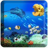 com.hdwallaper.seabedworldwallpaper