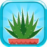 com.emaad.terrarium