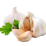 com.crisoleo.healthbenefitsofgarlic