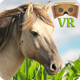 com.Wings.VRHR