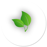 app.company.aryasoft.sepina