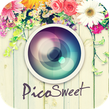 net.andg.picosweet