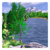 de.toar.livewallpaper.summerlake.free