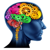 com.stepbystep.TrainYourBrain