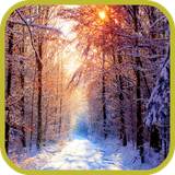 com.app3dwallpaperhd.springwallpaper