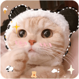 com.kitten.wallpapers.azw